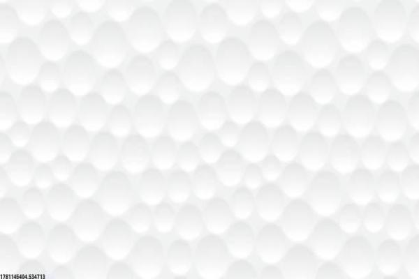 射击类体育项目的类型与发展